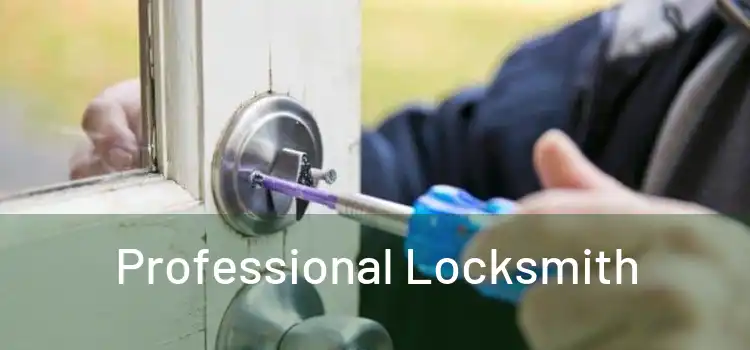 Professional Locksmith 